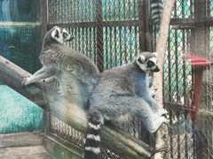 -昆明动物园