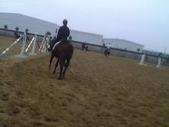 -松声马术俱乐部