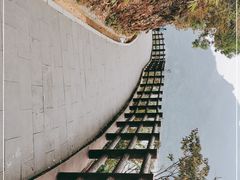 -羚羊峡古栈道森林公园