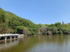 -深圳仙湖植物园