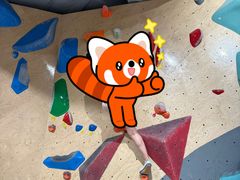 -ROCKPLUS攀岩馆(环宇城店)
