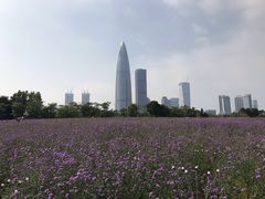 -深圳湾公园(南山区)