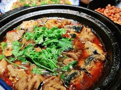 -永安水煮活鱼·仪征土菜院子