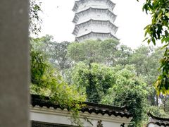 -深圳国际园林花卉博览园