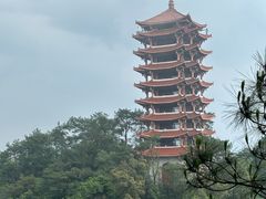 -缙云山景区