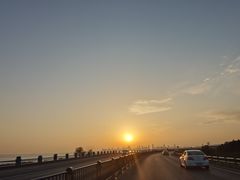 -合肥滨湖国家森林公园