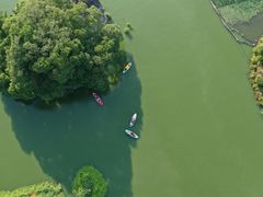 -三垟湿地