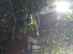 -津武刁馋一锅出(双街店)