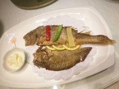 -骏莱海鲜鱼港(五角场店)