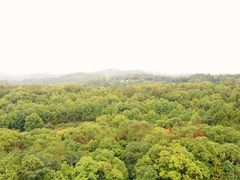 -富乐山
