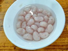 鱼蛋-章记正宗南岗鱼蛋火锅