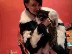 -猫色咖啡·猫咖