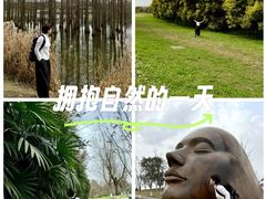 -白鹭湾湿地公园