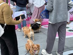 -福田卓悦INTOWN购物中心
