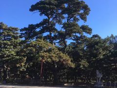 -北陵公园