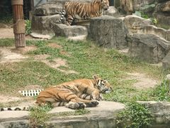 -深圳野生动物园