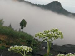 -公盂村