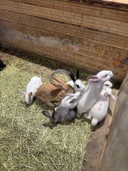 -酷嗒动物文化乐园(cutezoo西溪乐天城店)