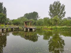 -东郊湿地公园