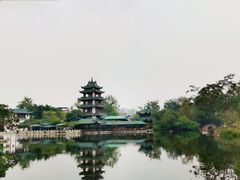 -桂湖森林公园