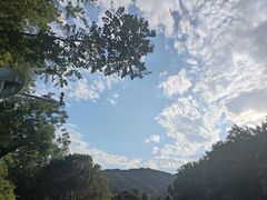 -香山公园