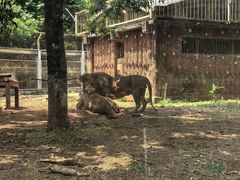 -昆明动物园
