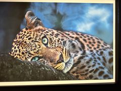 -罗红摄影艺术馆