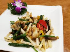 花生苗螺片-周锦记广式餐厅