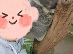 -费瑟代尔野生动物园