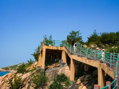 -广东惠东海龟国家级自然保护区