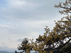 -天姥山景区