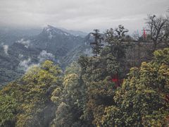 -青城山