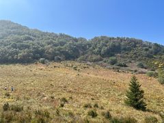 -白草畔自然风景区