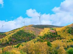 -塞罕坝国家级自然保护区