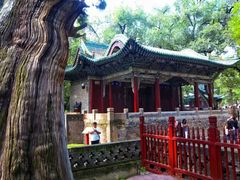 -晋祠公园