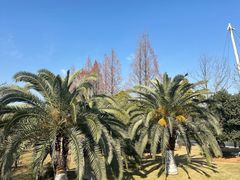 -浙江大学(紫金港校区)