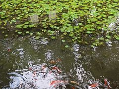 -宋宴(虎跑店)