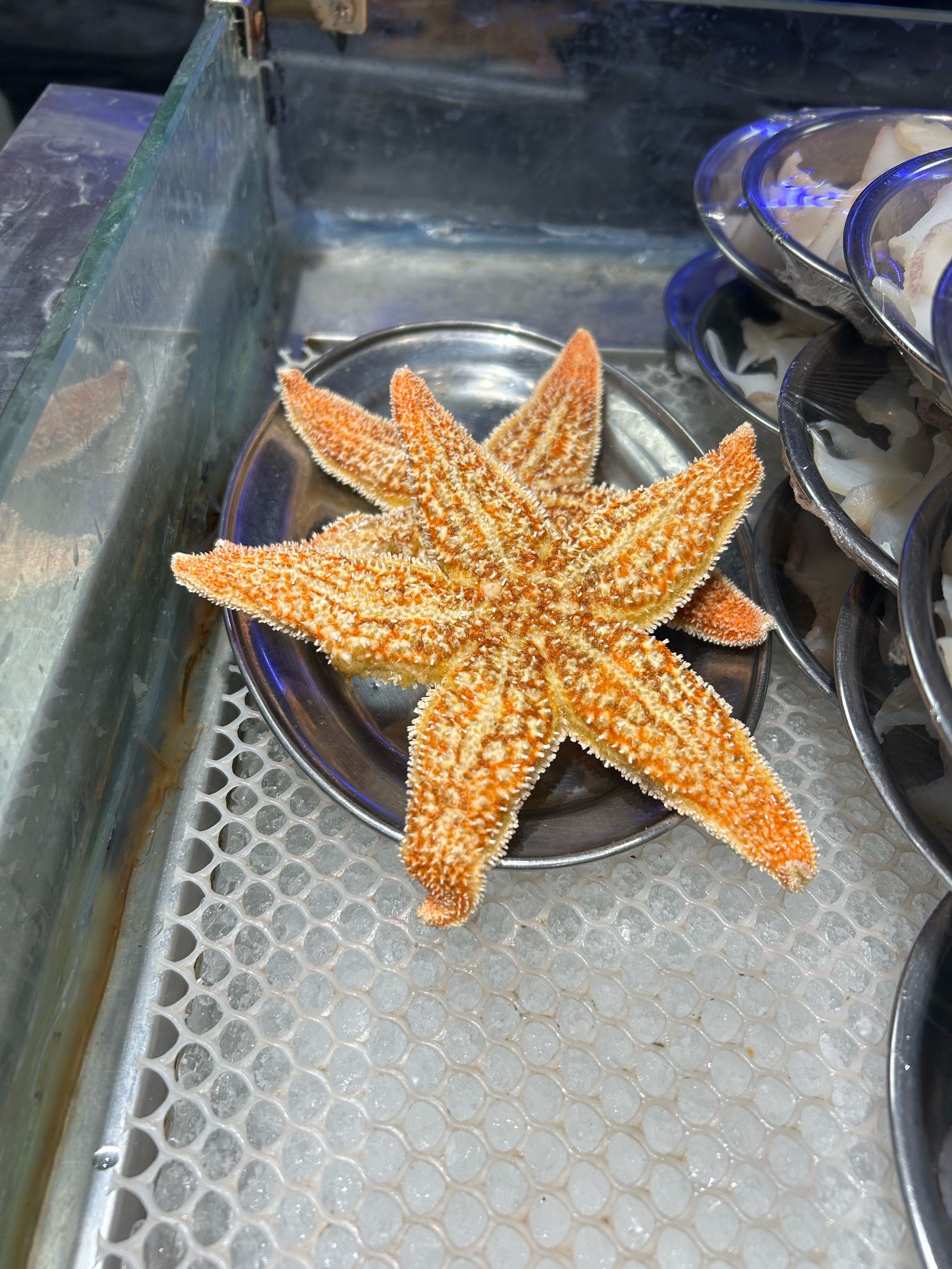海星怎么吃的呀?