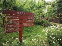 -鹅湖玫瑰文化园