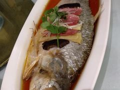 酒香大鲥鱼-丰收日(五角场店)