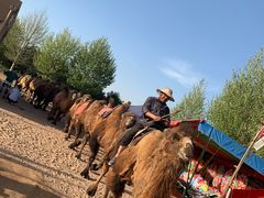 -古柏渡飞黄旅游区