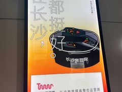 -黑色经典臭豆腐·湖南特产(太平街口店)