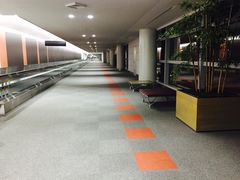 -中部国际机场