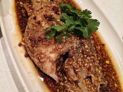 -大张烙馍村·美食地标(泉山店)