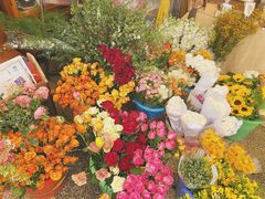 -知物癖(牛王庙店)
