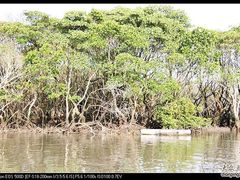 -东寨港红树林旅游区