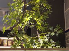 -真地道京味府·鲜橙烤鸭·北京菜(朝阳公园·甜水园店)