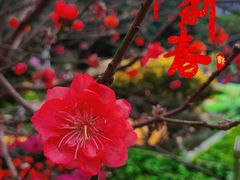 -广州文化公园