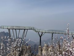 -狼牙山风景区