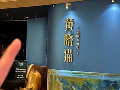 -黄晓猫剁椒大鱼头(海岸城店)